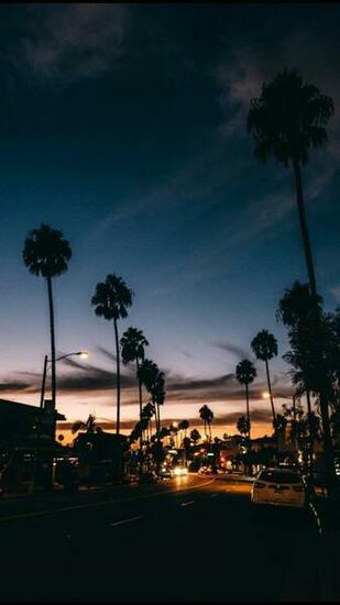 Like Californication Shorewards In Sky Aesthetic