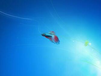 Windows Beta Meets Rc By Rainingskies Customization Wallpaper Mac Pc