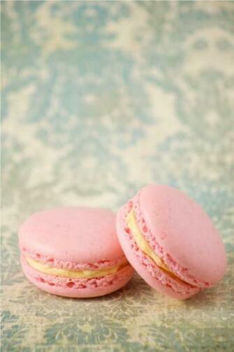 Preppy Sweets Macaron With Damask Background Sweet Alchemy