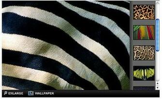 Desktop Screen Add It As Your Background And Voil Will