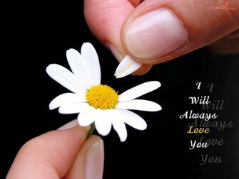 Love Romantic Wallpaper