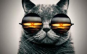 Cat Glasses Nuke By Stevewoods69