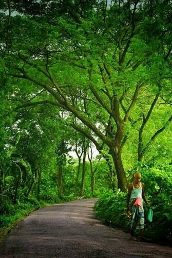 Iron Will Alchemist On Beautiful Bangladesh Background