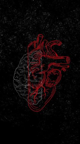 Heart Vs Brain Wallpaper iPhone