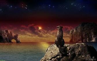 Awesome Cheetah Fantasy Wallpaper Background HD