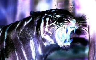 3d Tigers Wallpaper Dowload