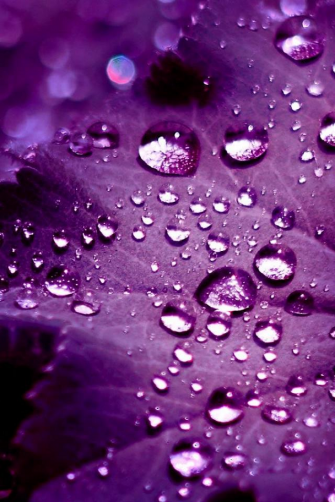 Purple Phone Wallpaper