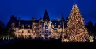 Christmas Card Background Tree Wallpaper