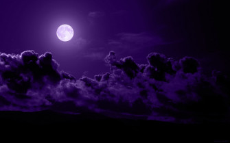 Dark Purple Wallpaper
