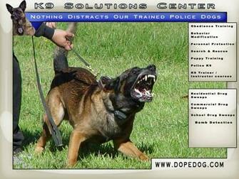 S K9 Solutions Center
