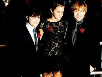 Harry Ron And Hermione Wallpaper