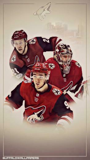 Jordan Santalucia On Nhl iPhone Wallpaper Anaheim