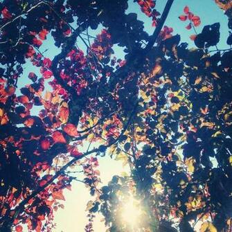 Best Artsy Background For Desktop