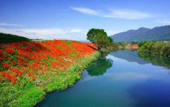 Spring River Wallpaper