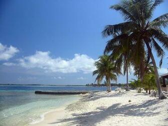 Tropical Island Background