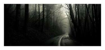 Into The Mist Dark Darkness