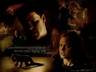 Faith Angel Buffy Vampire Slayer Relationships Wallpaper