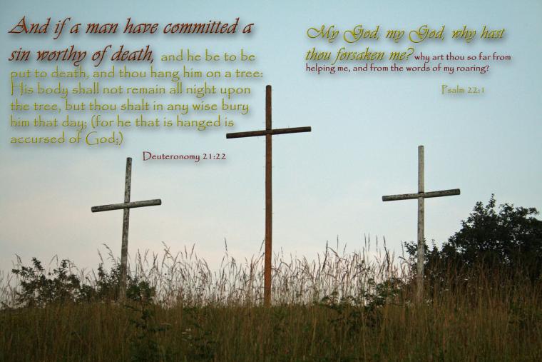 Nature Wallpaper Screensaver King James Version Bible Scripture