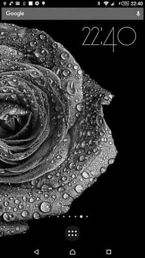 Wallpaper Rotating Flower Rotierende Blume Das Live