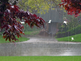 Beautiful Rain Wallpaper For Desktop