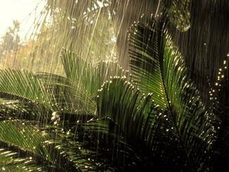 Rain Wallpaper Pixel Popular HD
