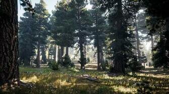 Far Cry Nature S Call 4k Ultra HD Wallpaper Background Image