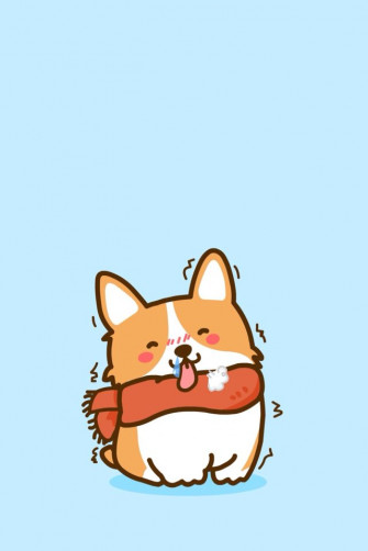 M A N D Y On W L P E R S Corgi Wallpaper Dog