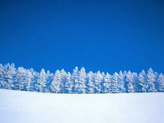 Wallpaper Weather Desktop Trees Full Snow Cold