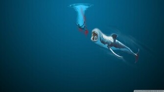 Whale Wallpaper