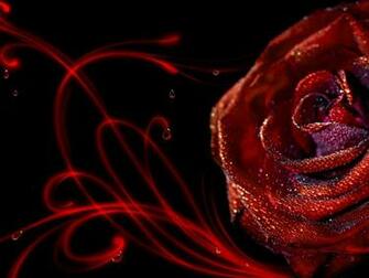 Wallpaper Proslut Rose