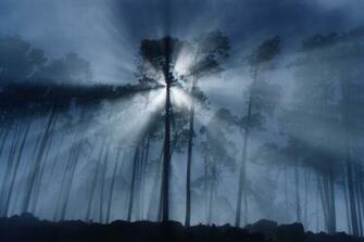 Fog Wallpaper