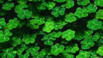 Nature Green Leaves Plants Shamrock Clovers Pattern