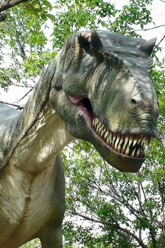 Tyrannosaurus Rex Wallpaper