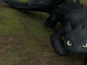Dragon Night Fury Wallpaper Toothless Desktop