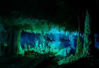 Diving Computer Wallpaper Desktop Background Id