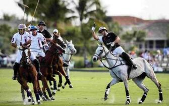 Polo Pics Horse Sport HD Wallpaper