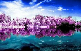 Scenic HD Wallpaper Background Image Id