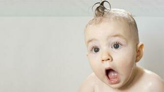 Funny Animated Wallpaper For Desktop