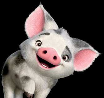 Pua Moana Transparent Png Stickpng