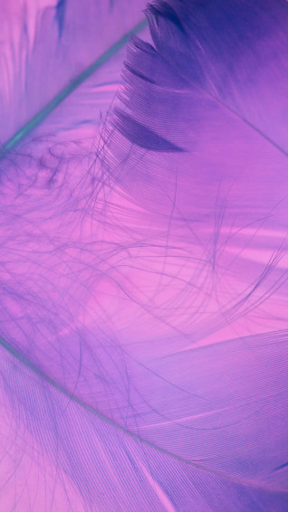 Lilac Color Wallpaper