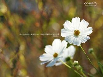 Christian Wallpaper With Bible Verses About Love Walk Jesus