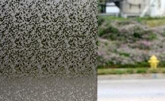 Decorative Privacy Adhesive Static Cling Window Film Treatments