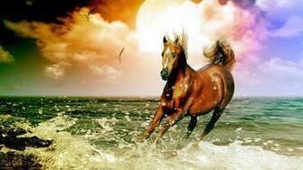 Best Horse Beach Wallpaper Me