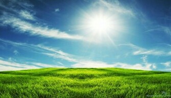 Grassland Landsacape Wallpaper