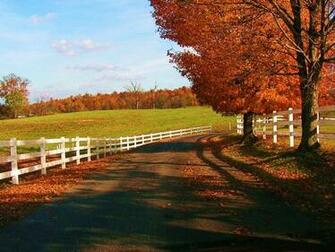 Autumn Autumnscene Landscape Scene Wallpaper For Desktop Background