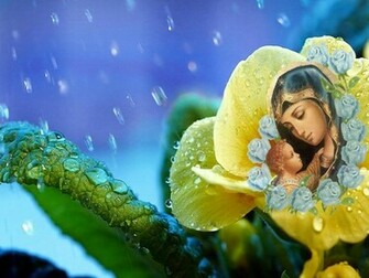 Virgin Mary Wallpaper