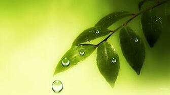 Nature Wallpaper HD Natural Health Wellness Widescreen