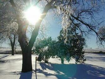 Texas Wallpaper Scenery Buildings Snow Winter Pictures For