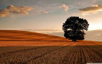 Autumn Sunset Wallpaper Stock Photos