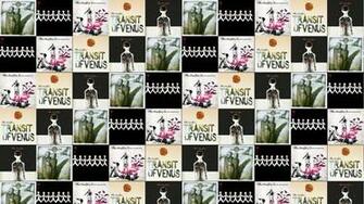 Three Days Grace Human Wallpaper On